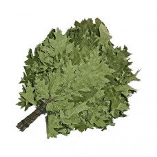 Веник дубовый для сауны и бани