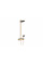 Душевая система Hansgrohe Pulsify S Showerpipe 260 2jet 400 EcoSmart, бронзовый (24241140)