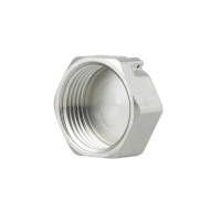Заглушка Thermo Alliance Forte 1" ВР SF35225