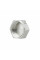 Заглушка Thermo Alliance Forte 1" ВР SF35225