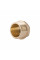 Заглушка Thermo Alliance Standart 3/4" ЗР SD40320