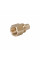 Переходних под натяжную гильзу Icma №1033 d16х2,2-1/2"В 851033ADBO05