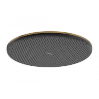 Верхний душ Hansgrohe Raindance Alive S 300 1jet бронзовый (24520140)