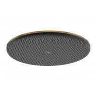 Верхній душ Hansgrohe Raindance Alive S 300 1jet EcoSmart бронзовий (24521140)