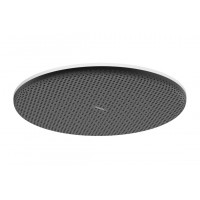 Верхній душ Hansgrohe Raindance Alive S 300 1jet EcoSmart білий (24521700)