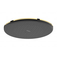 Верхний душ Hansgrohe Raindance Alive S 300 1jet EcoSmart золотой (24521990)
