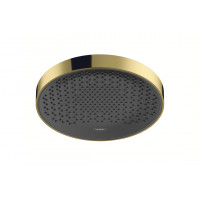 Верхний душ Hansgrohe Rainfinity 250 1jet EcoSmart золотой (26229990)
