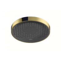 Верхній душ Hansgrohe Rainfinity 250 1jet золотий (26228990)