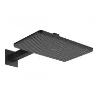Верхний душ Hansgrohe Raindance Alive Q 340/210 2jet EcoSmart с держателем черный (24551670)