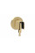 Шланговое подключение FixFit Porter S с держателем Polished Gold Optic (26888990)