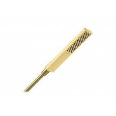 Ручний душ Pulsify E 100 1jet EcoSmart Polished Gold Optic (24320990)