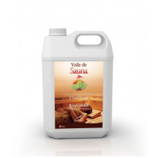 Аромат для саун Camylle Voile de Sauna Евкаліпт 5000 мл