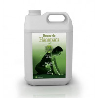 Аромат для хамама Camylle Brume de Hammam Хвоя 5000 мл