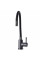 Змішувач для кухні Globus Lux ALPEN SBT1-203SB-GP
