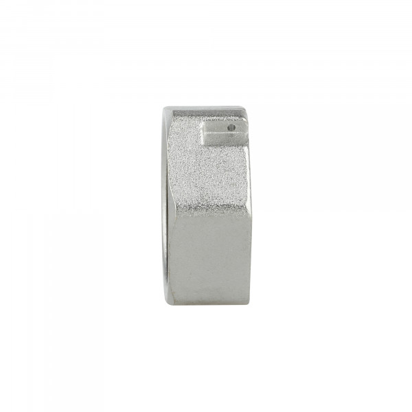 Заглушка Thermo Alliance Forte 1" ВР SF35225