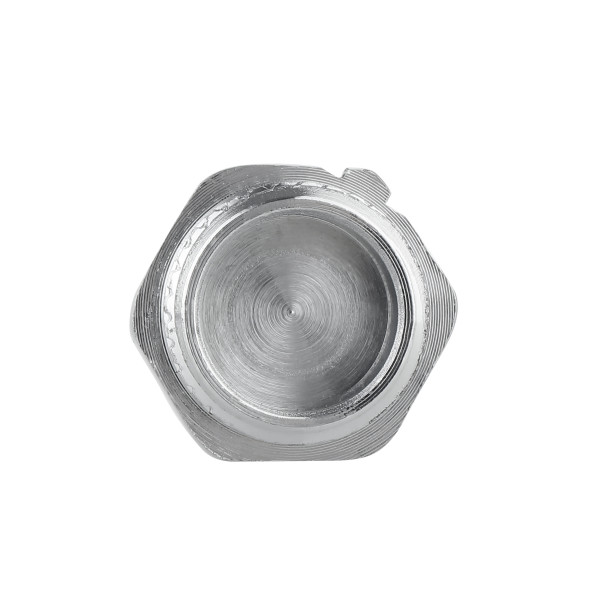 Заглушка Thermo Alliance Forte 1/2" ЗР хром SF353H15