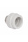 Муфта PPR Thermo Alliance 63х2" ЗР