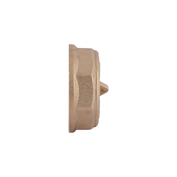 Заглушка Thermo Alliance Standart 1 1/4" ВР SD40232