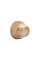Перехідник Thermo Alliance Standart 3/4"х1/2" ВЗ SD4091520