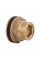 Врезка Thermo Alliance Standart 1 1/4" в бак SD40032