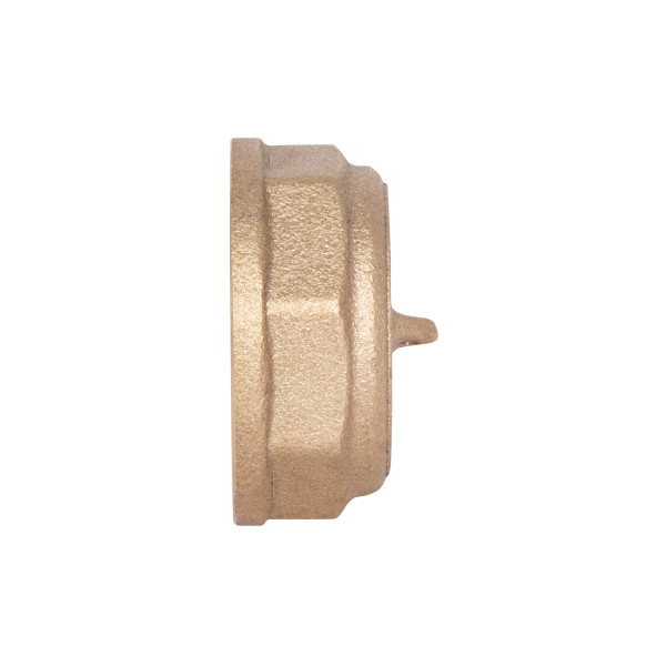 Заглушка Thermo Alliance Standart 1" ВР SD40225