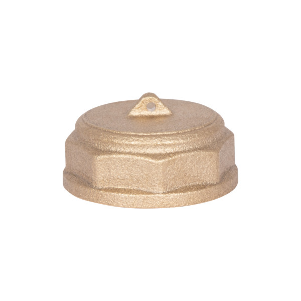 Заглушка Thermo Alliance Standart 1" ВР SD40225