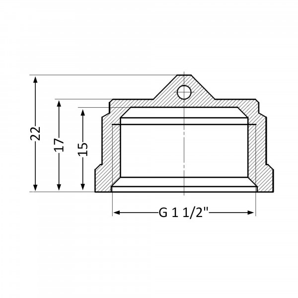 Заглушка Thermo Alliance Standart 1 1/2" ВР SD40240
