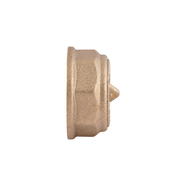Заглушка Thermo Alliance Standart 3/4" ВР SD40220