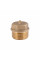 Заглушка Thermo Alliance Standart 1/2" ЗР SD40315