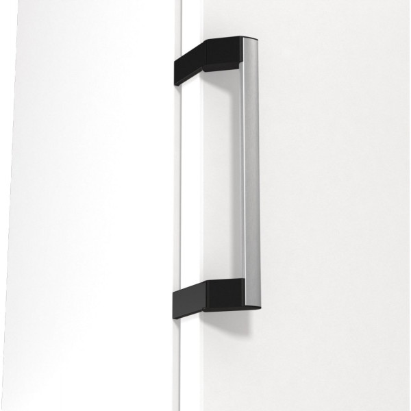 Холодильная камера Gorenje R619EAW6