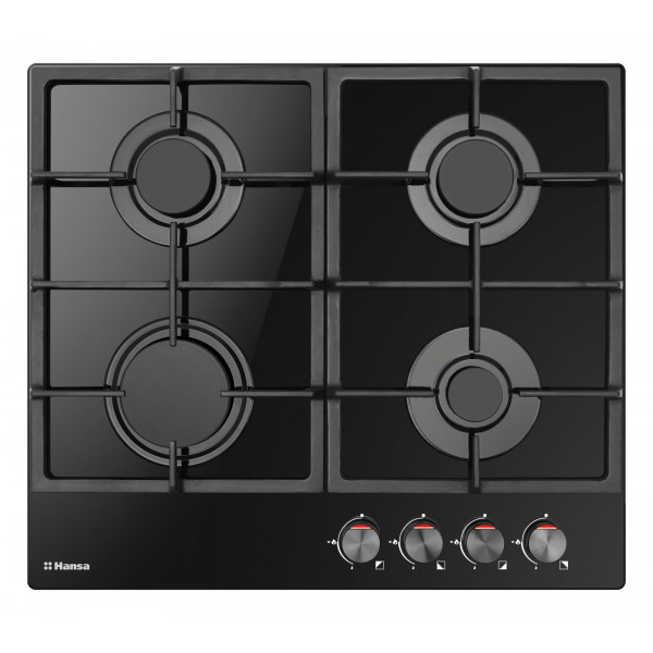 Газовый духовой шкаф Hansa FCGI69326
