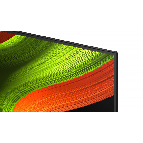 Телевизор LG OLED55B56LA