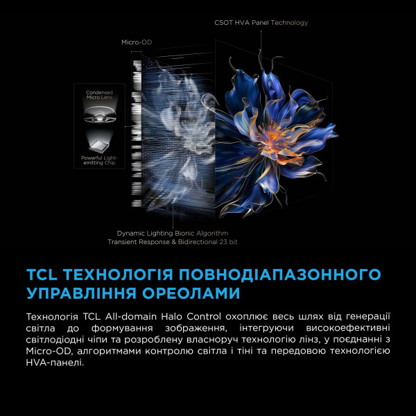 Телевизор TCL 75C61KS