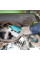 Шуруповерт Аккумуляторный ударный гайковерт Makita WR100DZ