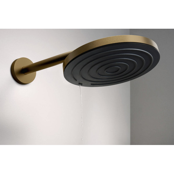 Верхний душ Hansgrohe Pulsify 260 1jet бронзовый (24140140)