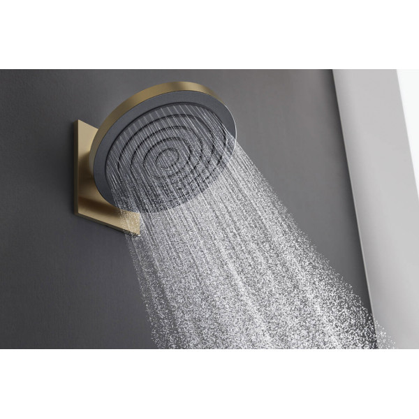 Верхний душ Hansgrohe Pulsify 260 1jet бронзовый (24140140)