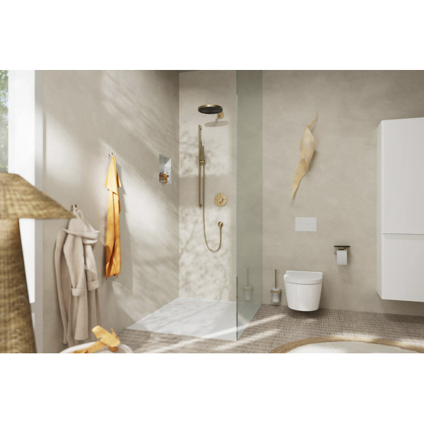 Верхний душ Hansgrohe Pulsify 260 1jet бронзовый (24140140)