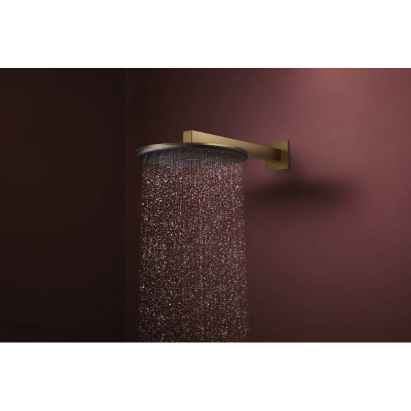 Верхній душ Hansgrohe Raindance Alive S 300 2jet EcoSmart з тримачем бронзовий (24541140)