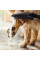 Ручной душ DogShower 150 3Jet Matt Black (26640670)