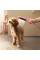 Ручной душ DogShower 150 3Jet Pink (26640560)