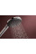 Ручной душ Raindance Alive Select S 3jet Chrome (24500000)