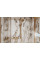 Ручний душ Raindance Select S 120 3jet, Brushed Bronze (26530140)