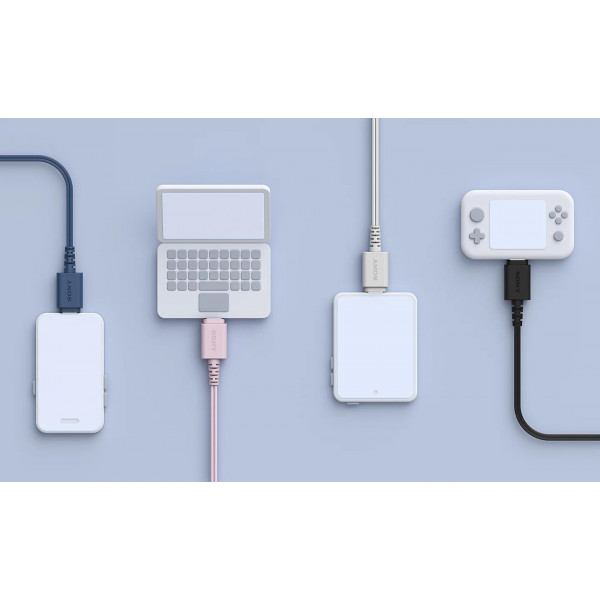 Навушники Sony IER-EX15C USB-C (IEREX15CL.E)