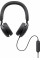Наушники Dell Pro Wired ANC Headset WH5024 (520-BBGQ)