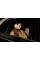 Навушники Sony 1000X THE COLLEXION BT 6.0 (WH1000XXW.E)