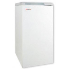 Газовий котел Protherm 40 ТLO (Ведмідь