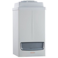 Газовий котел Immergas Victrix Pro 55 1 I