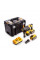 Перфоратор DeWalt DCH334X2