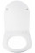Qtap Swan /Jay Slim Soft-close QT1699SC5176W
