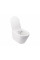 Інсталяція Grohe Rapid SL 38827000 + унітаз Swan QT16335178W + гігієнічний набір Grohe BauLoop 111042